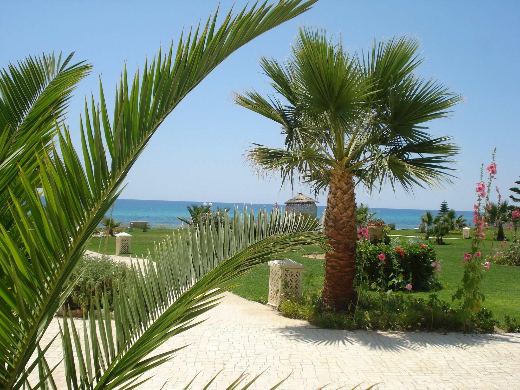 B&B Cote D'Azur Hammamet Eksteriør bilde