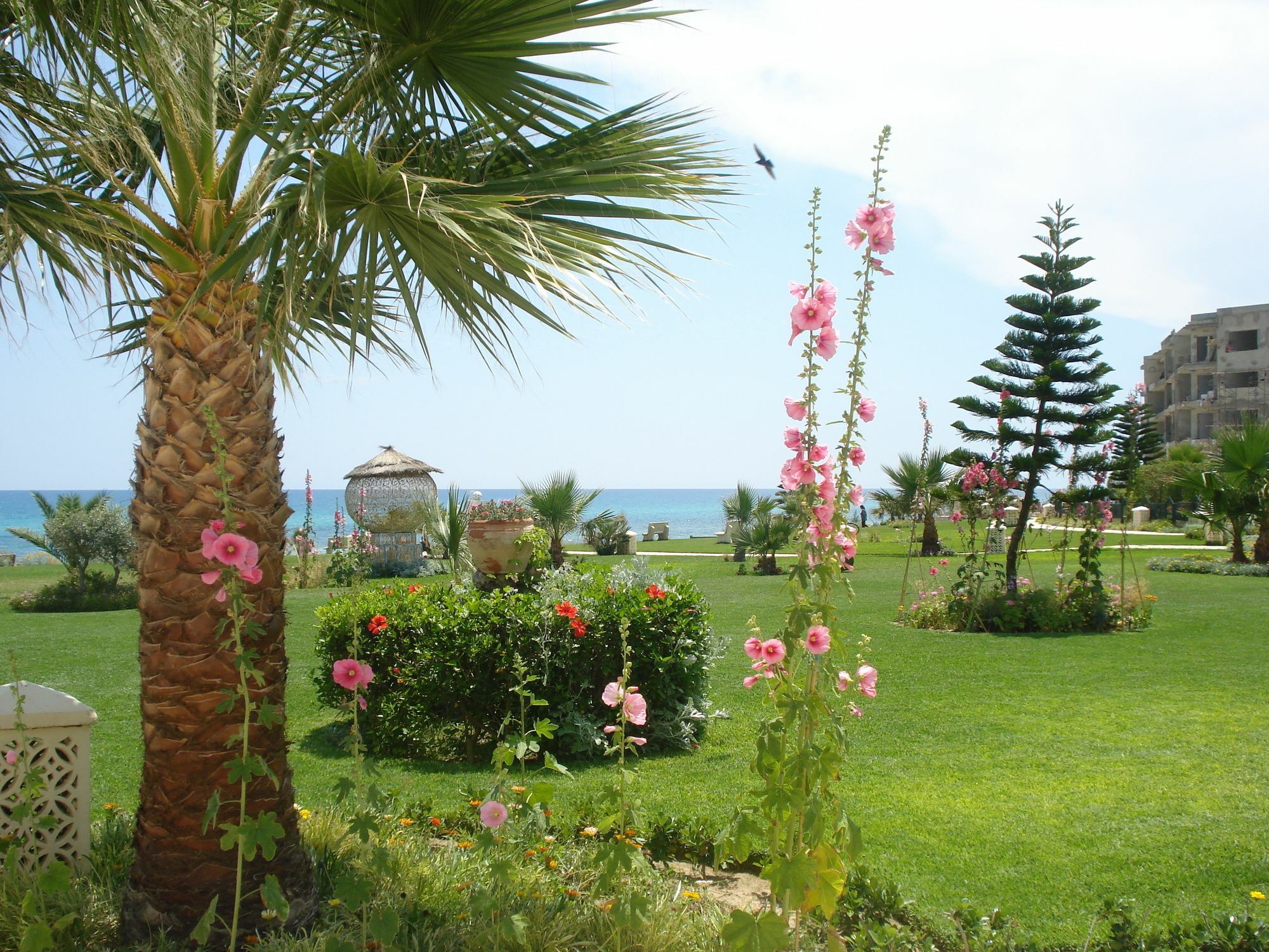 B&B Cote D'Azur Hammamet Eksteriør bilde